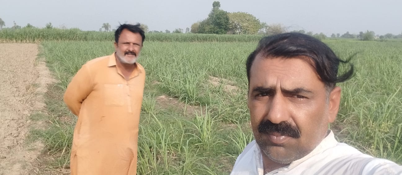 CEO — SARSBAZ Group Pakistan